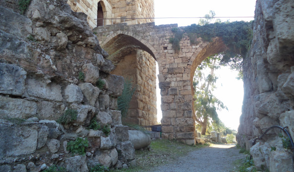 DSC01659