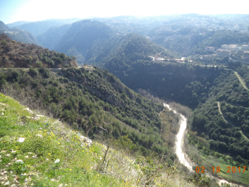 photo 1506293