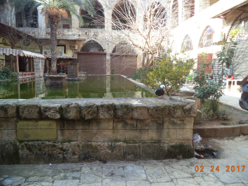 photo 1548418
