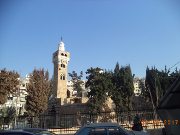 photo 1549516