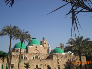 photo 1713409