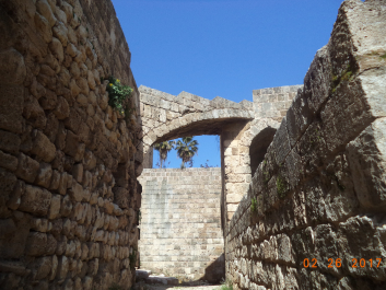 photo 1713411