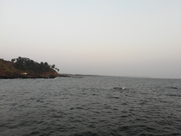 photo 1627871