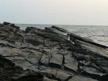 photo 1627873