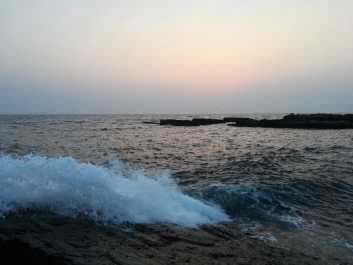 photo 1627882