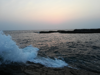 photo 1627884