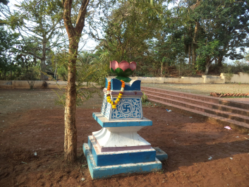 photo 1631242