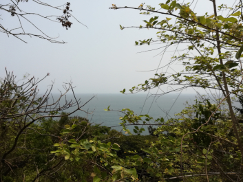 photo 1635815