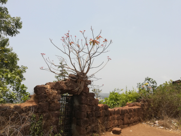 photo 1635946