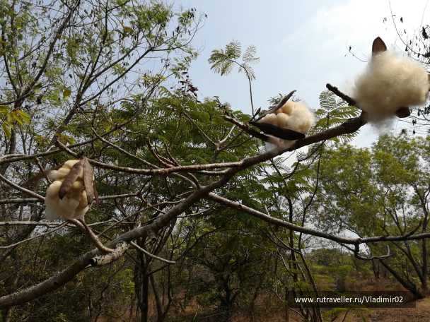 photo 1635958