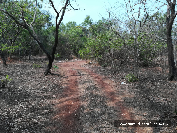 photo 1635960