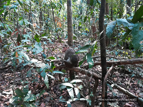 photo 1636592