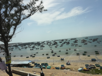 photo 1824798