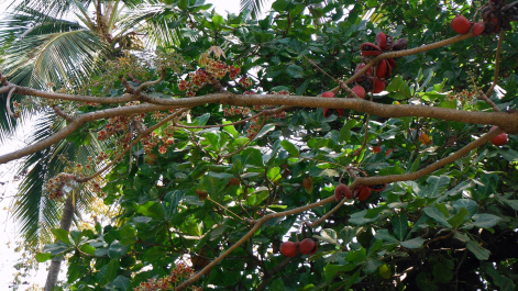 photo 283198