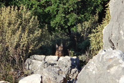 photo 1147719