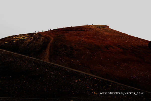 photo 1372211