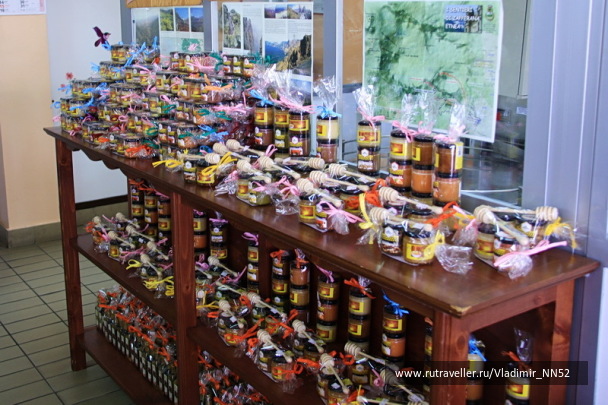 photo 1372214