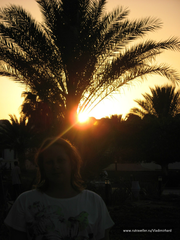 photo 282408