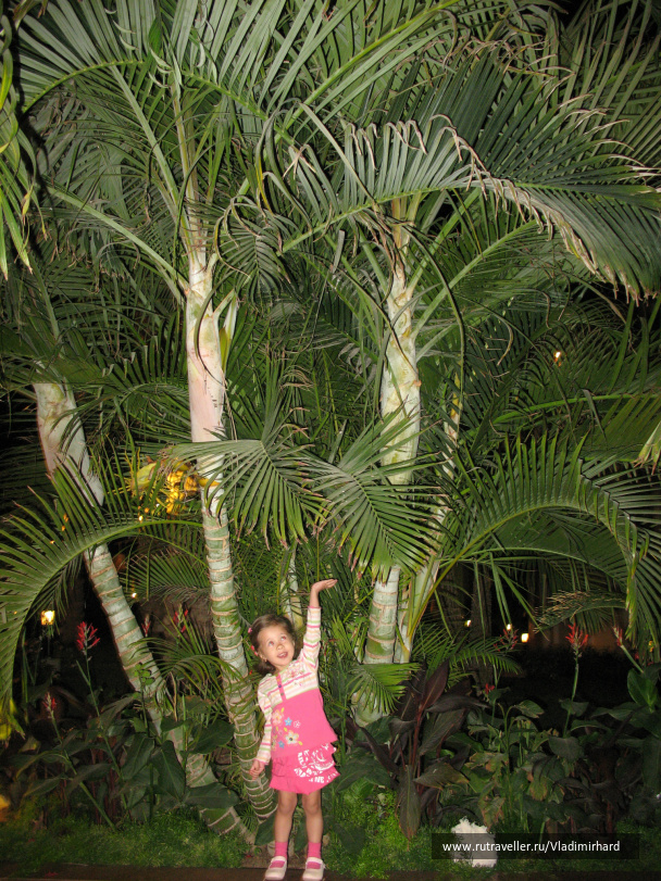photo 284794