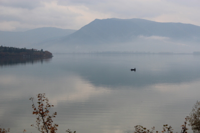 photo 595392