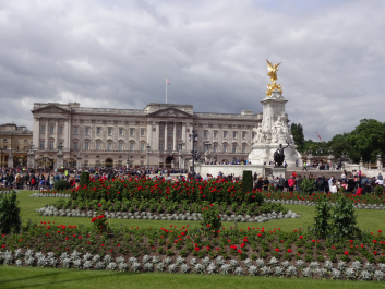 photo 1554206
