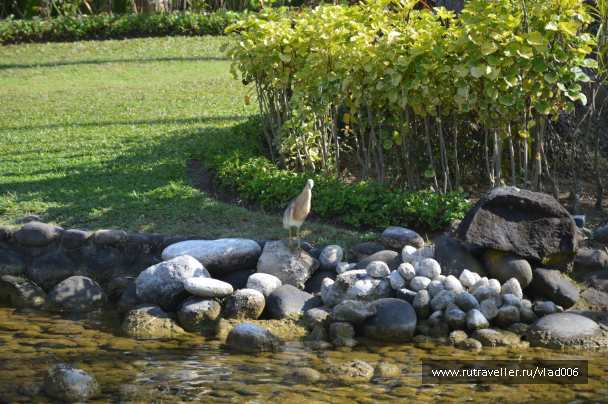 photo 1420992