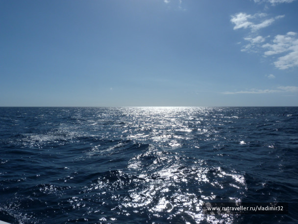 photo 290922