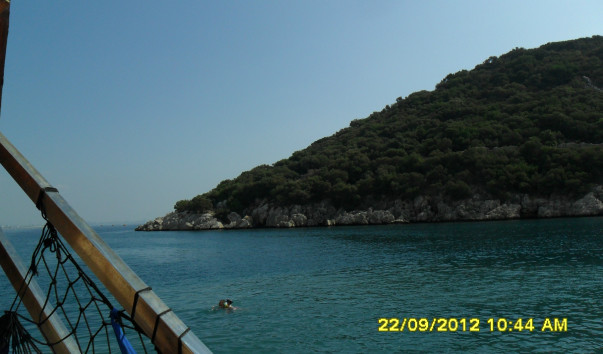SAM_3590