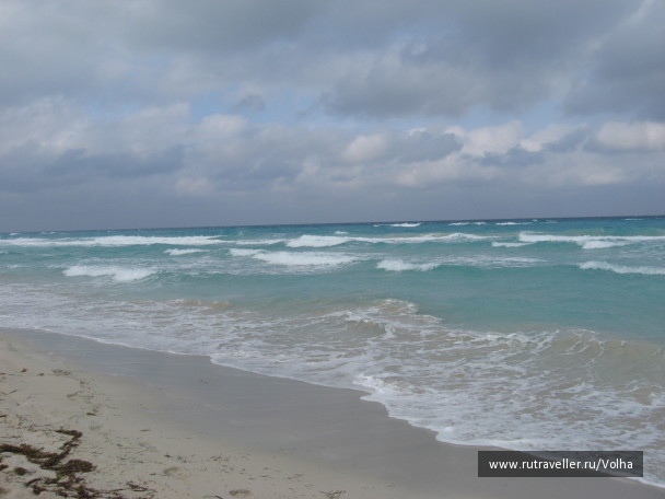 photo 20033