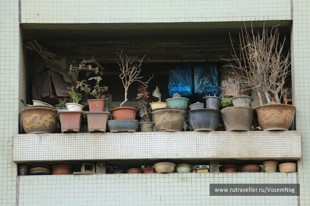 photo 299303