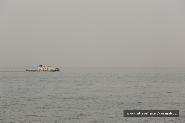 photo 299307