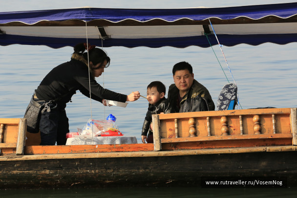 photo 299313