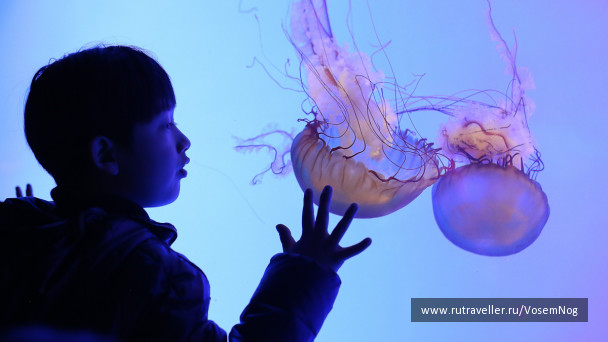 photo 299323