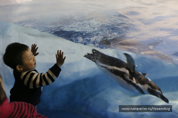 photo 299327