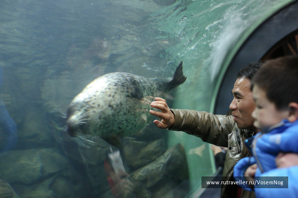 photo 299328