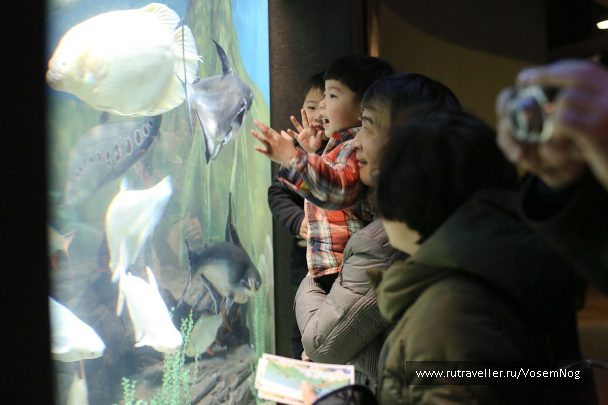photo 299329