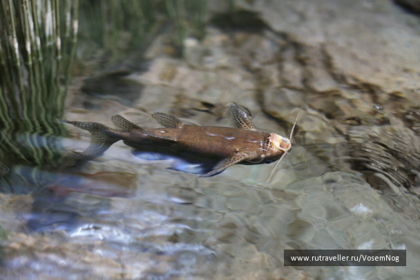 photo 299330