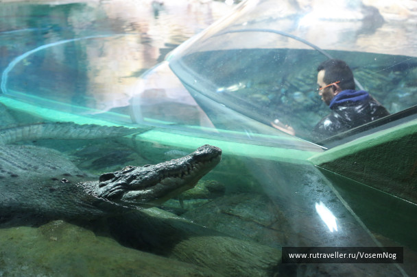 photo 299332
