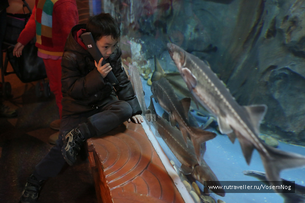 photo 299337