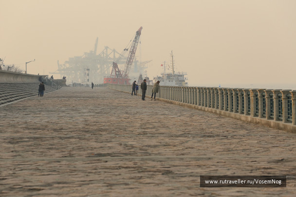 photo 299339