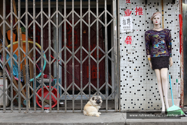 photo 299341