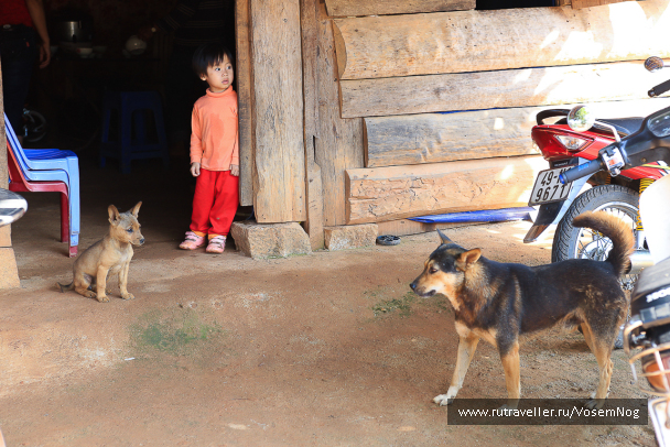 photo 329863