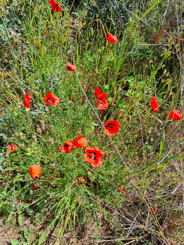 photo 2093203