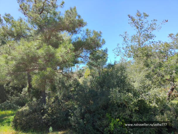 photo 2093204