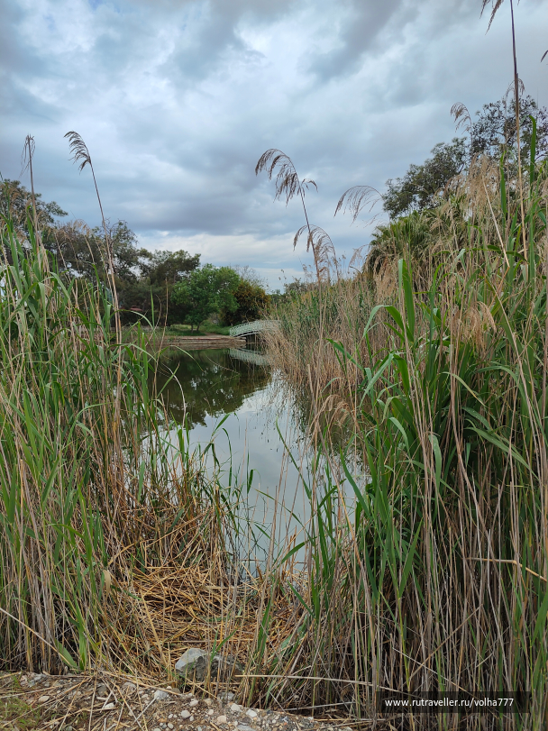 photo 2093211