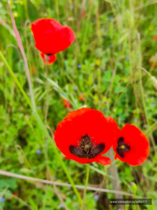 photo 2093214