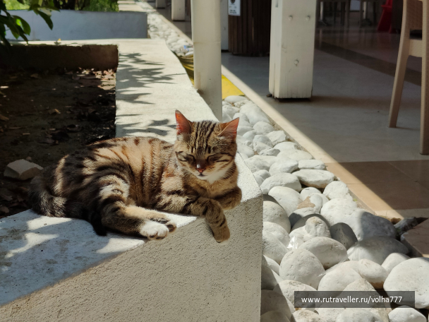 photo 2093216