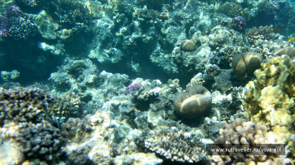 photo 984927