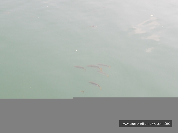 photo 978897
