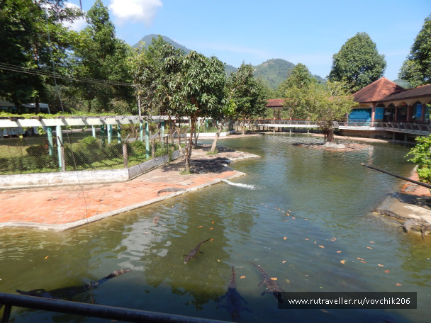 photo 1461280